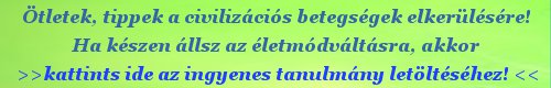 fejléc banner