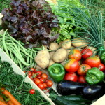 Dobozban az egészség, avagy mindig friss zöldségek a termelőtől