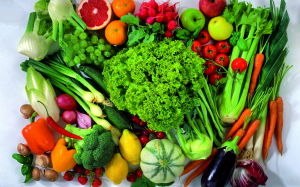 Zöldség- és gyümölcstermesztő tanfolyam
